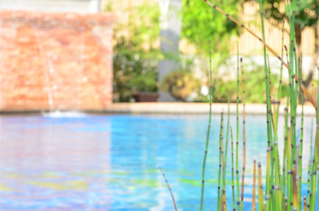 Veraneante Resort Panglao Eksteriør bilde